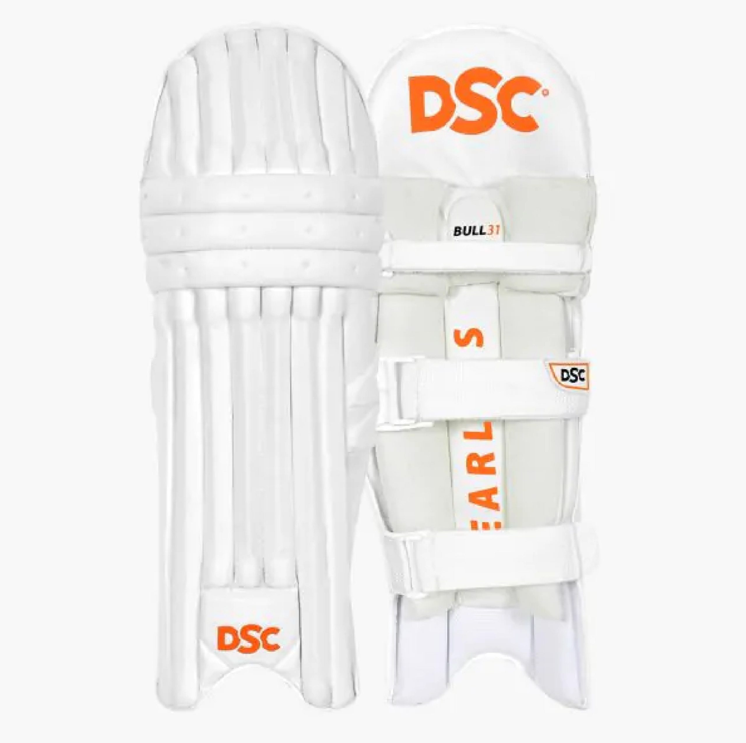 DSC BULL 31 EDITED